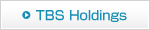 Tokyo Broadcasting System  Holdings, Inc.